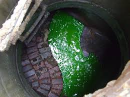 https://b1459286.smushcdn.com/1459286/wp-content/uploads/2019/05/Sewer-Dye-YellowGreen.jpg?lossy=1&strip=1&webp=1