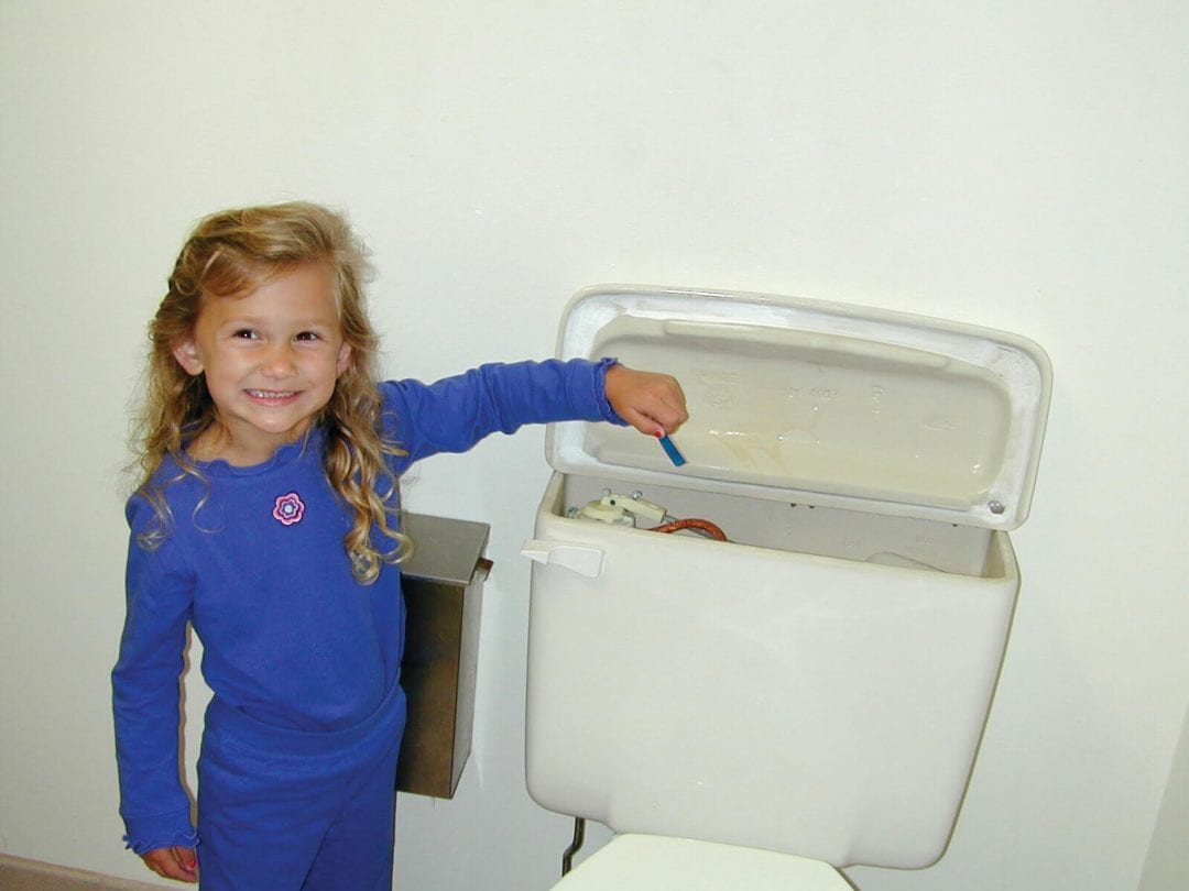 Toilet Dye Norlab Tracing Dyes Leak Detection