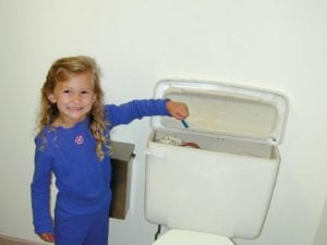 Toilet Dye | Norlab Tracing Dyes | Leak Detection
